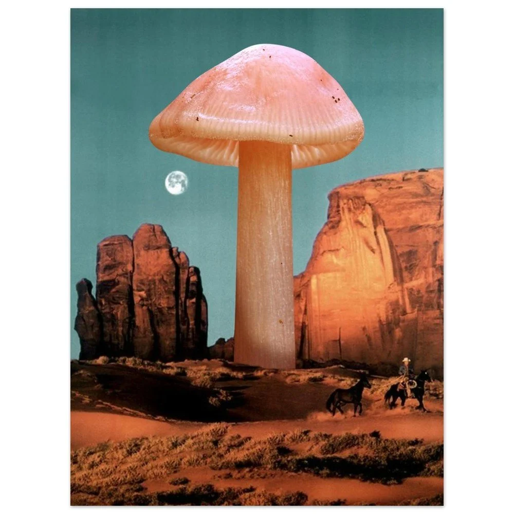 tmp-155-MoJp1O6rhgJw