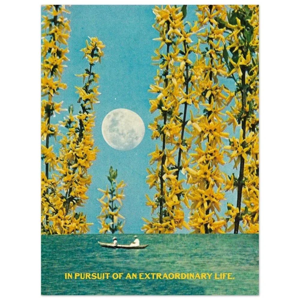 tmp-169-XBrIpvrx2hb9