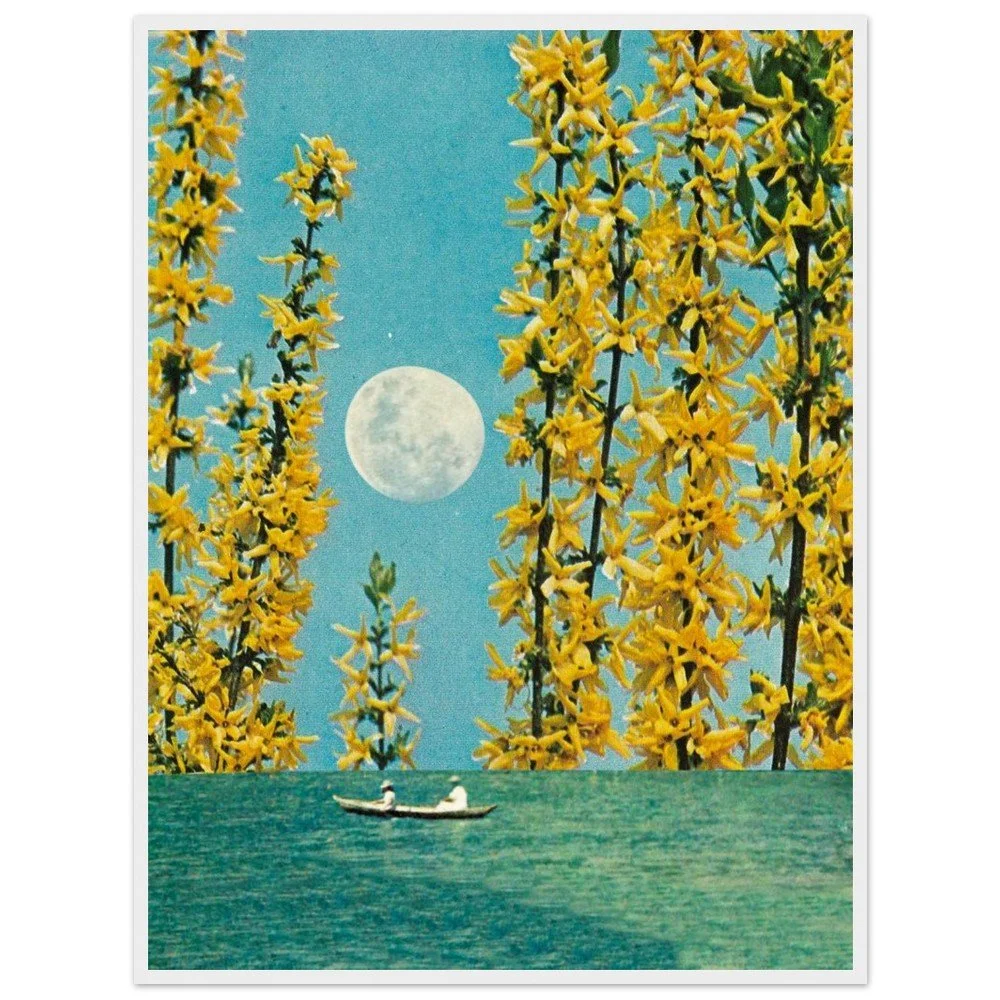 tmp-160-T66Nrq1kv18s