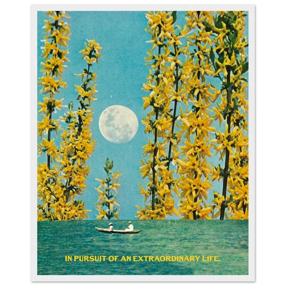 tmp-151-ZcHiZCbXQgTL