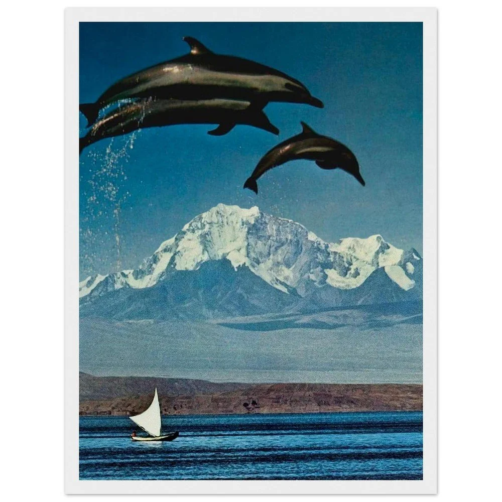 tmp-157-tR1DHNb53TNB