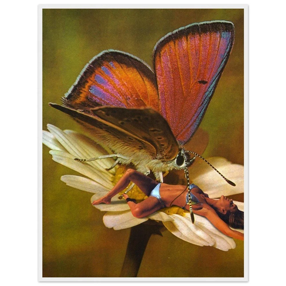 tmp-165-MJGmAuuReT3f