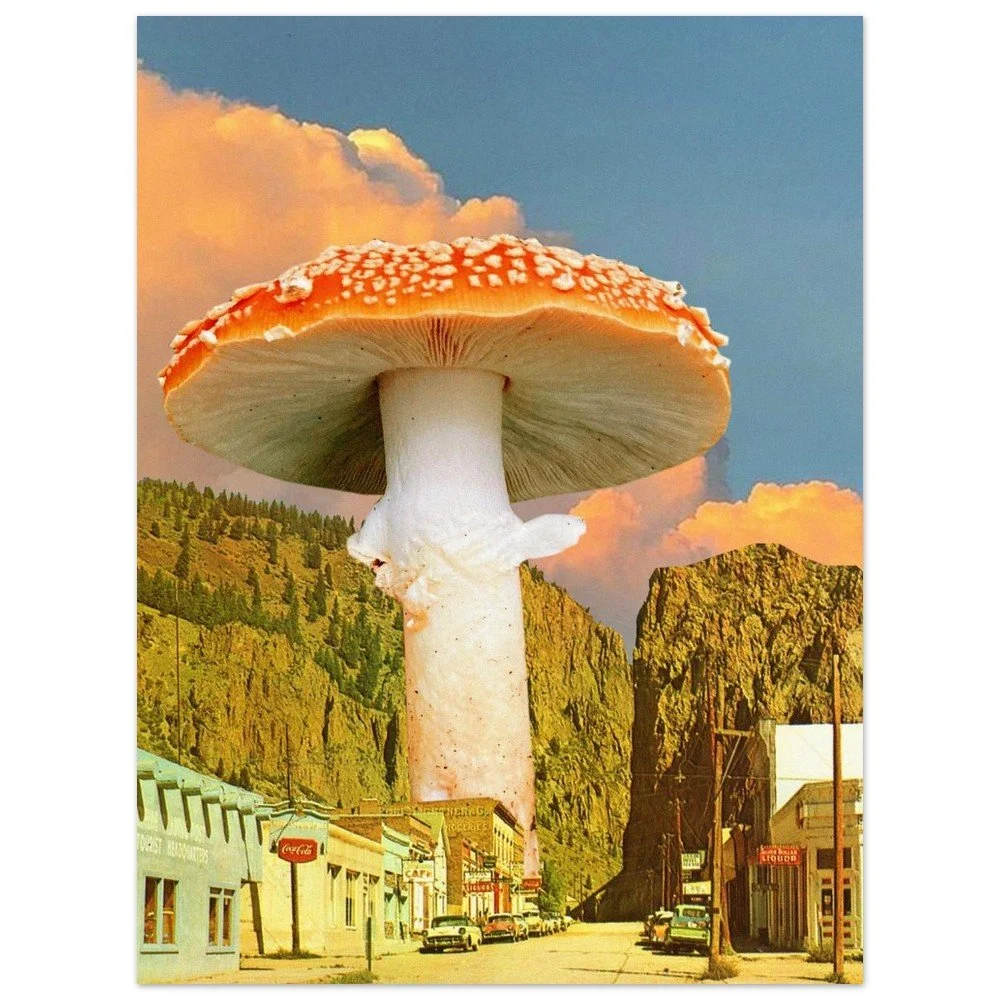 tmp-158-iYBQt6LSuRWX