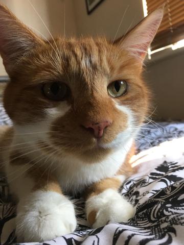 He also continues to be very handsome ❤️