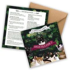 high-tea-vouchers-std_medium.jpg