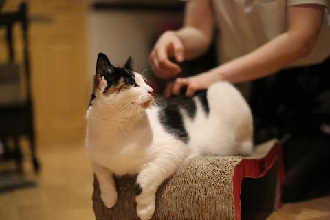 back-scratch-mue_large.jpg