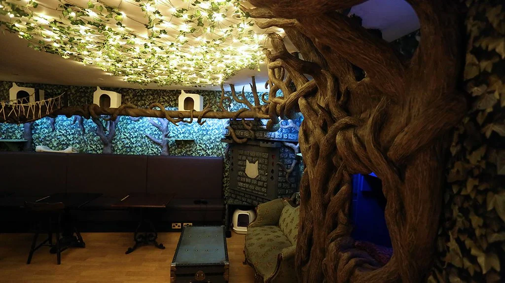 LadyDinahs_Cat_Cafe_Basement.jpg