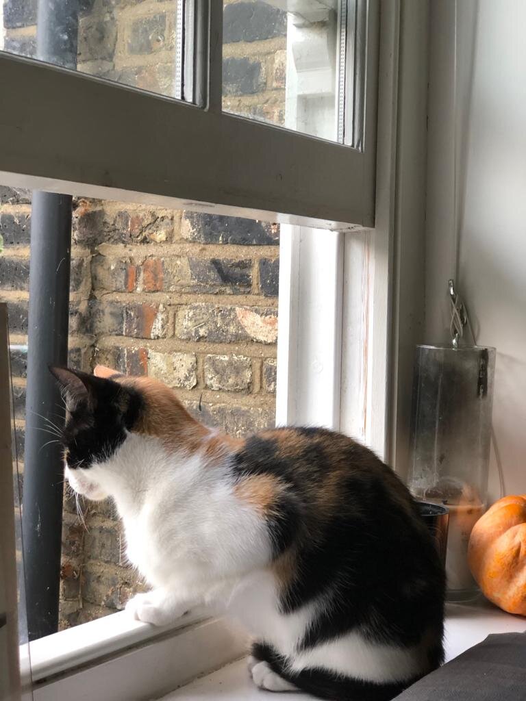 Milly-Ladydinahs-07.jpeg