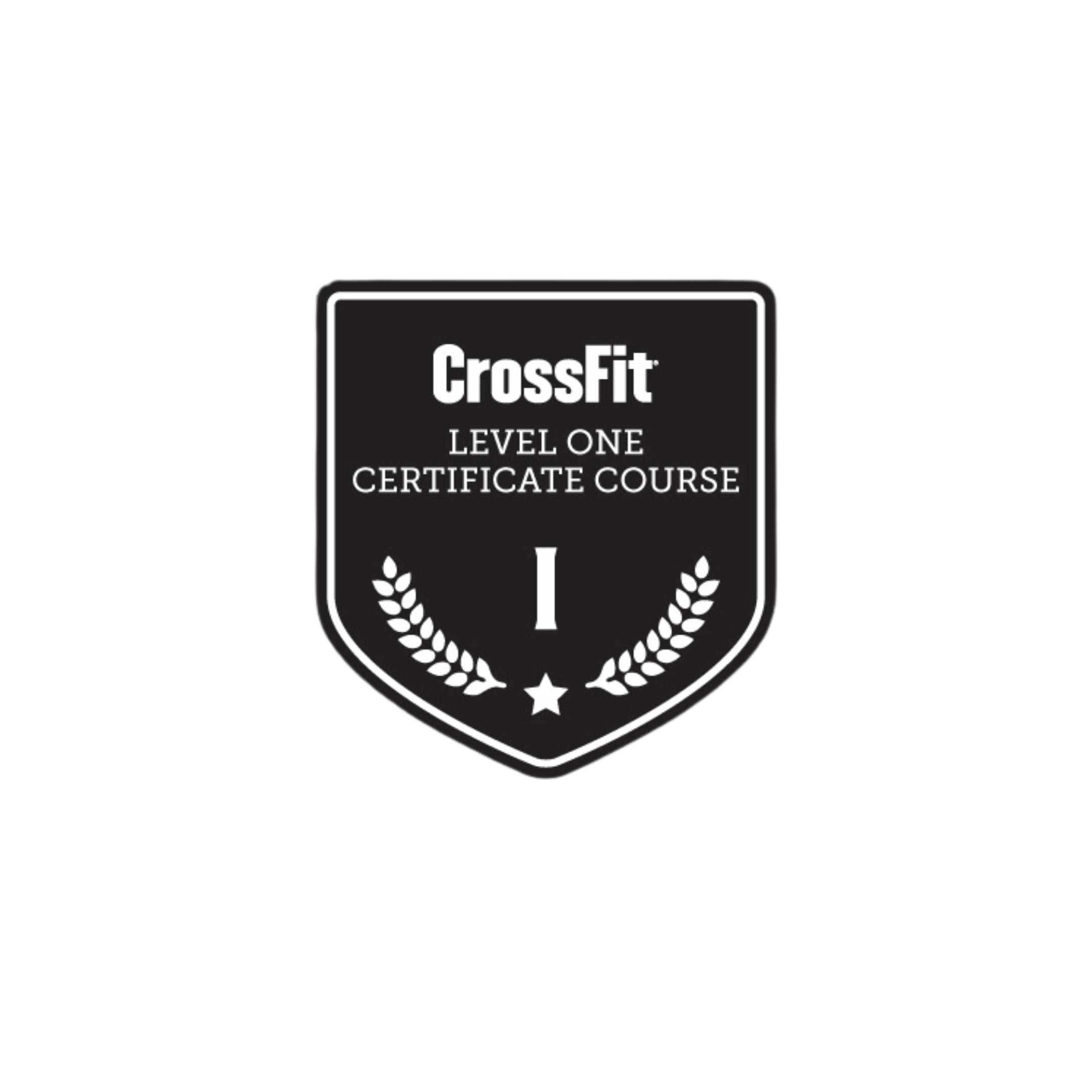 CrossFit Level 1 Coach