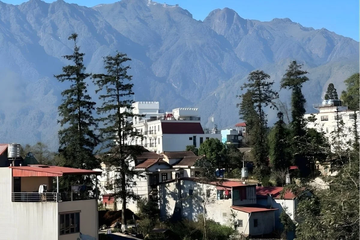 View of the Sapa mountains and alpine trees surrounding Sapa Town from Suong May Sapa Homestay.