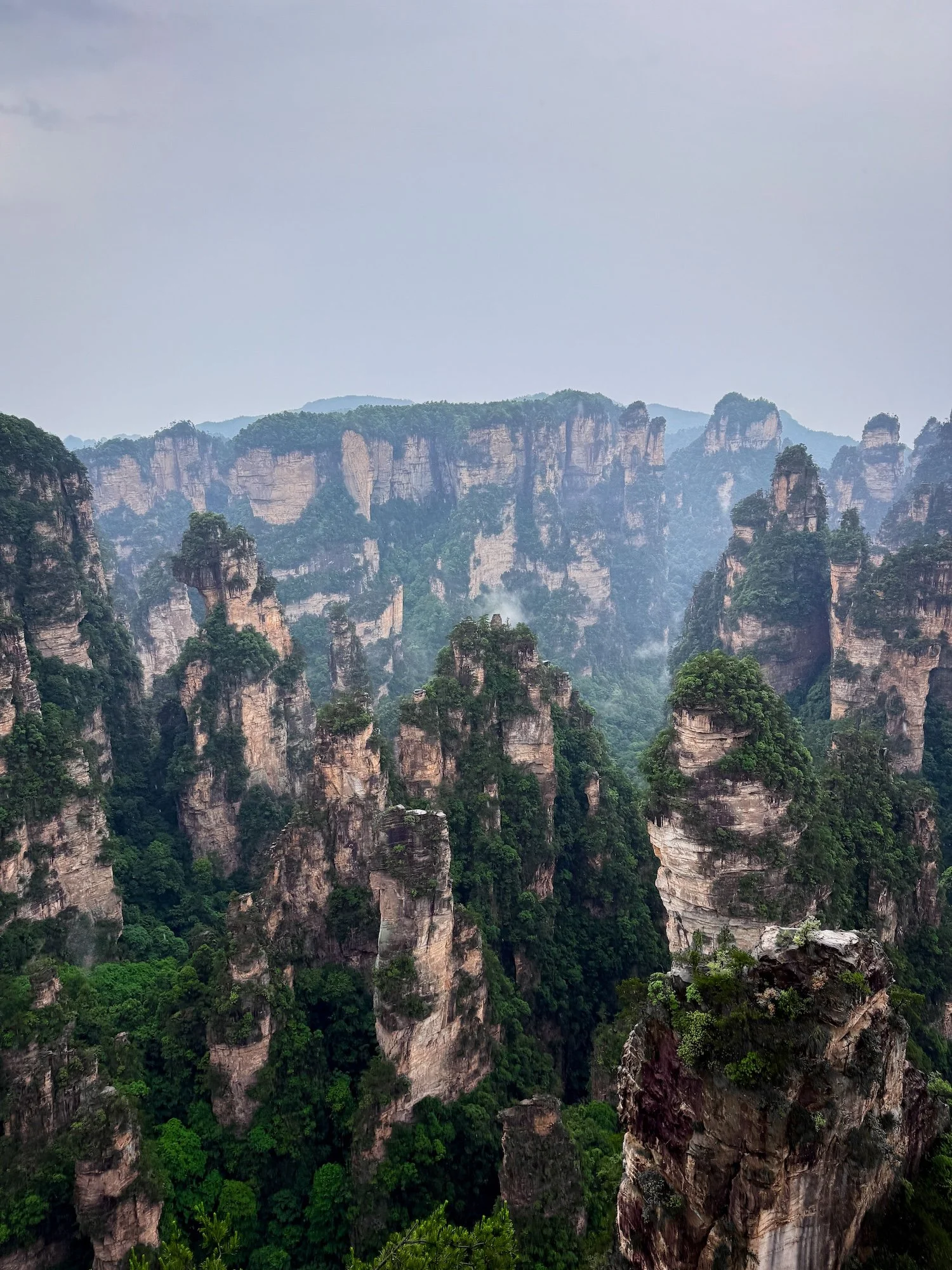 Sandstone pillars in Zhangjiajie National Forest Park. This 2 week China itinerary showcases China's most spectacular landscapes.
