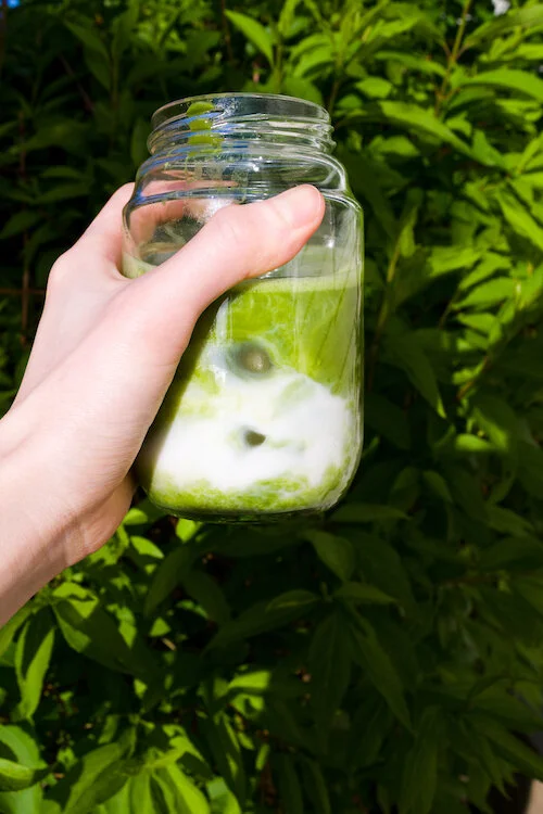 Matcha Latte.jpg