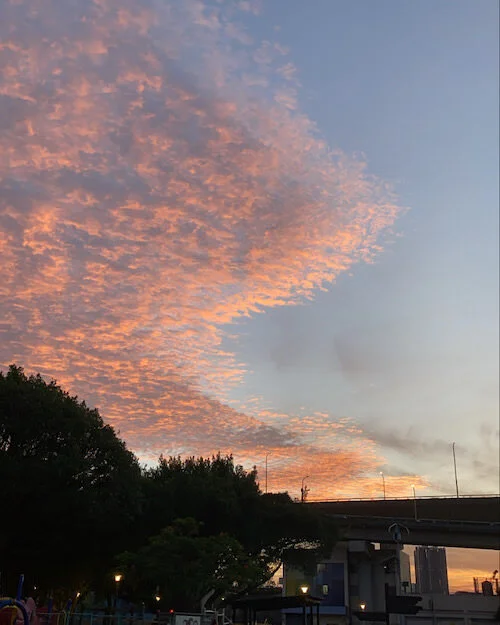 Taipei Taiwan Sunset.JPG