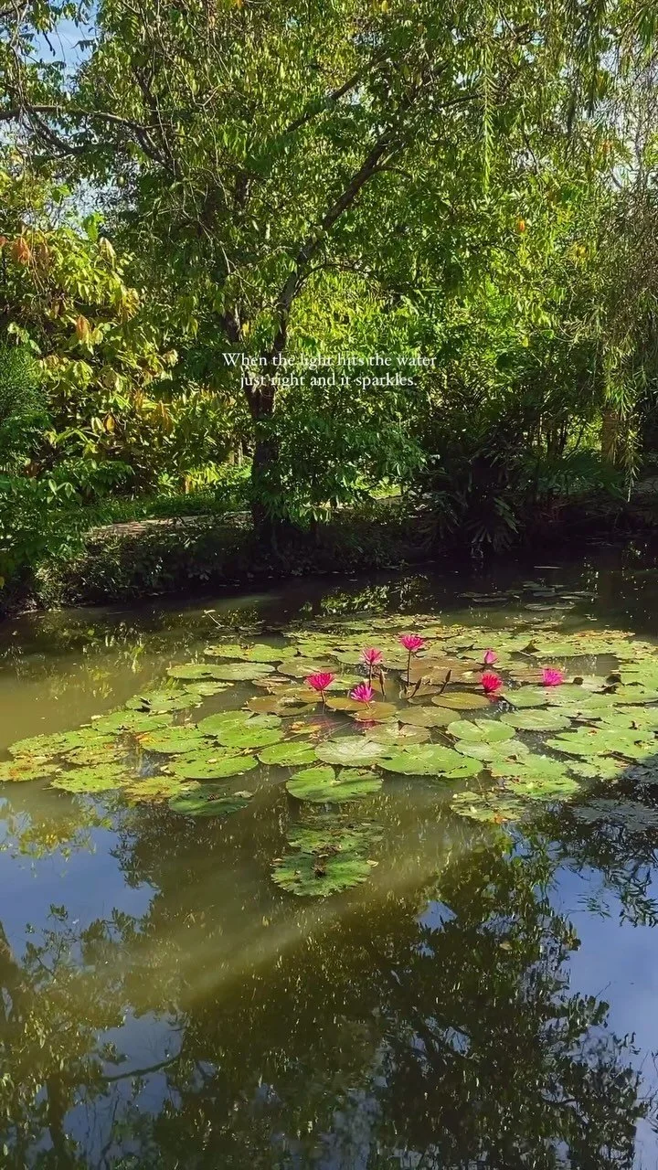 Do Thrift Stores Wash Clothes? (A Guide To Safe Secondhand Shopping