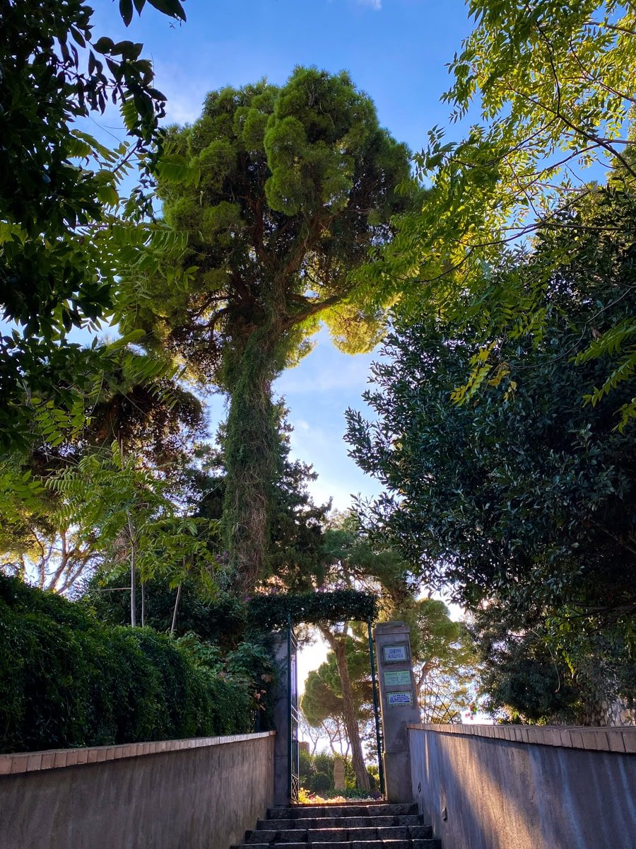 Stone steps lead through a garden entrance with sunlight filtering through tall trees and a serene coastal view peeking through the foliage — capturing Capri’s quiet, enchanting charm.