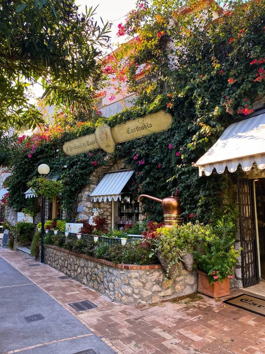 A vibrant garden with blooming flowers and tall trees opens up to a serene view of the sea, showing Capri’s beauty beyond just its beaches and town squares.
