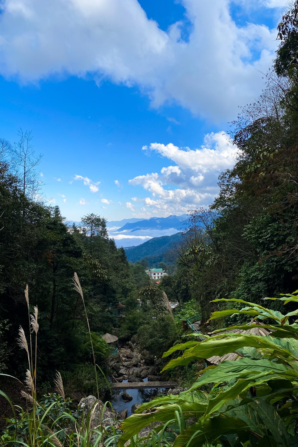 Sapa Valley Through The Mist