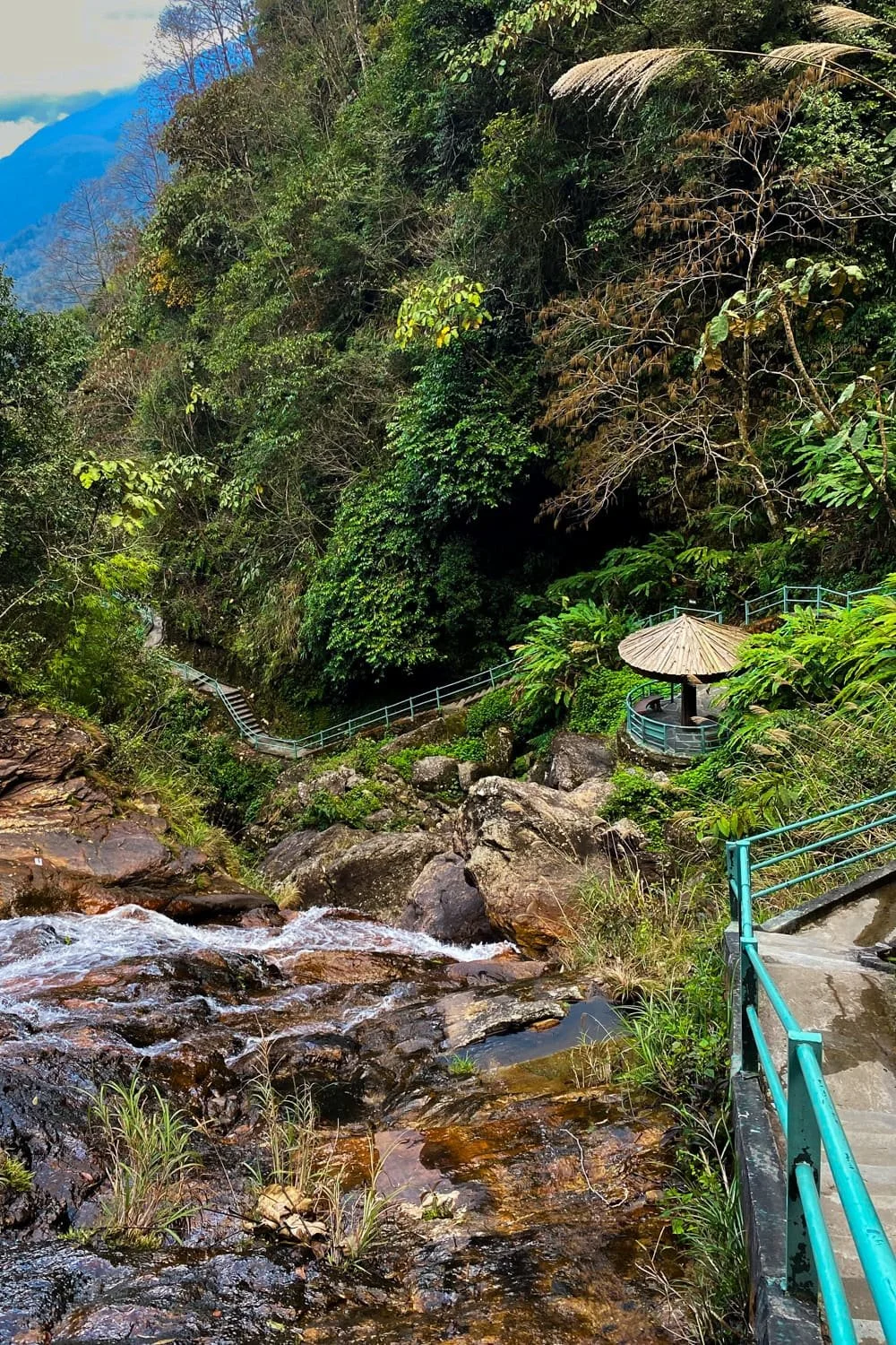  lush forest trail winds past a small thatched-roof hut and flowing stream, with stairs leading deeper into the greenery. Peaceful nature walks like this make for an essential part of any Sapa itinerary. 