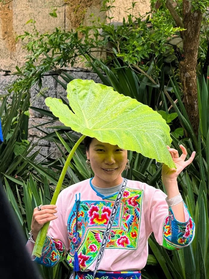 Tian, our local tour guide wearing colorful traditional dress holding a large leaf like an umbrella.