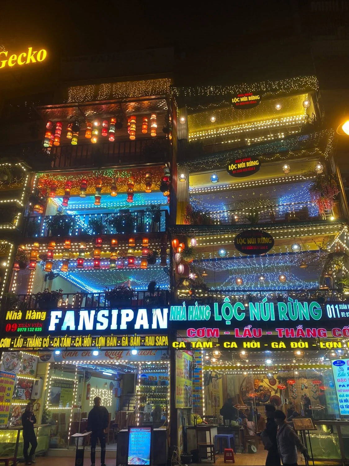 Brightly lit restaurants in downtown Sapa at night, with colorful signage advertising local dishes like salmon, sturgeon, and mountain pork. The lively food scene gives a taste of why Sapa is worth visiting for culinary explorers.