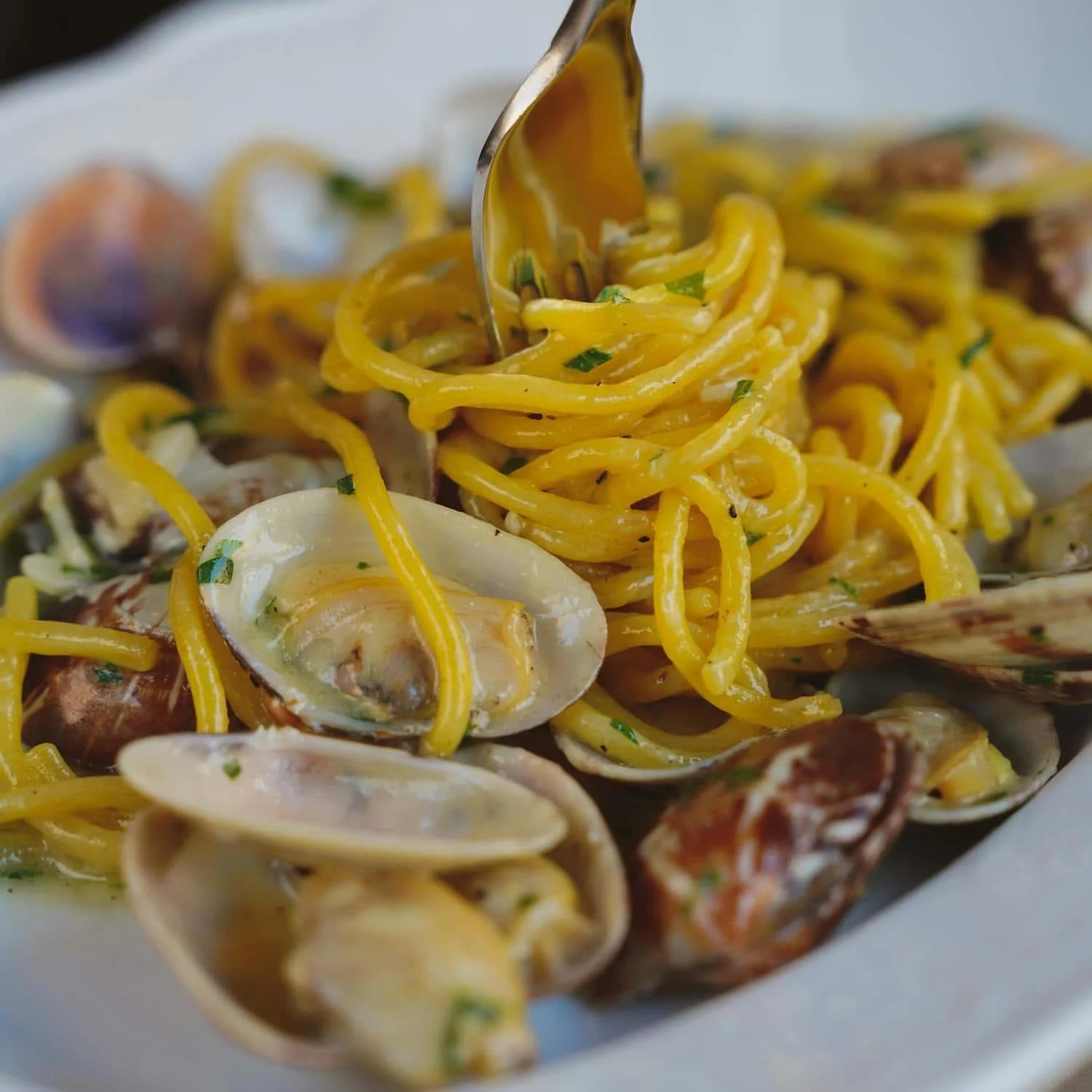 Close up of spaghetti with clams being twirled on a fork with garlic and herbs. Eating fresh seafood pasta like this is one of the delicious Amalfi Coast things to do.