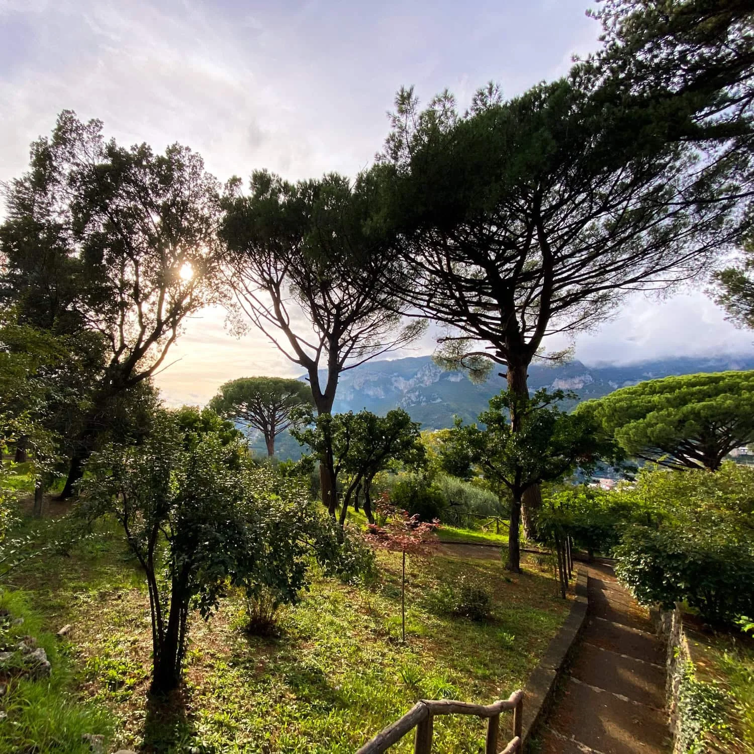 Garden path winding through tall pine trees and lush greenery with sunlight filtering through the branches and mountains in the distance. Exploring peaceful gardens in Ravello is one of the scenic Amalfi Coast things to do.