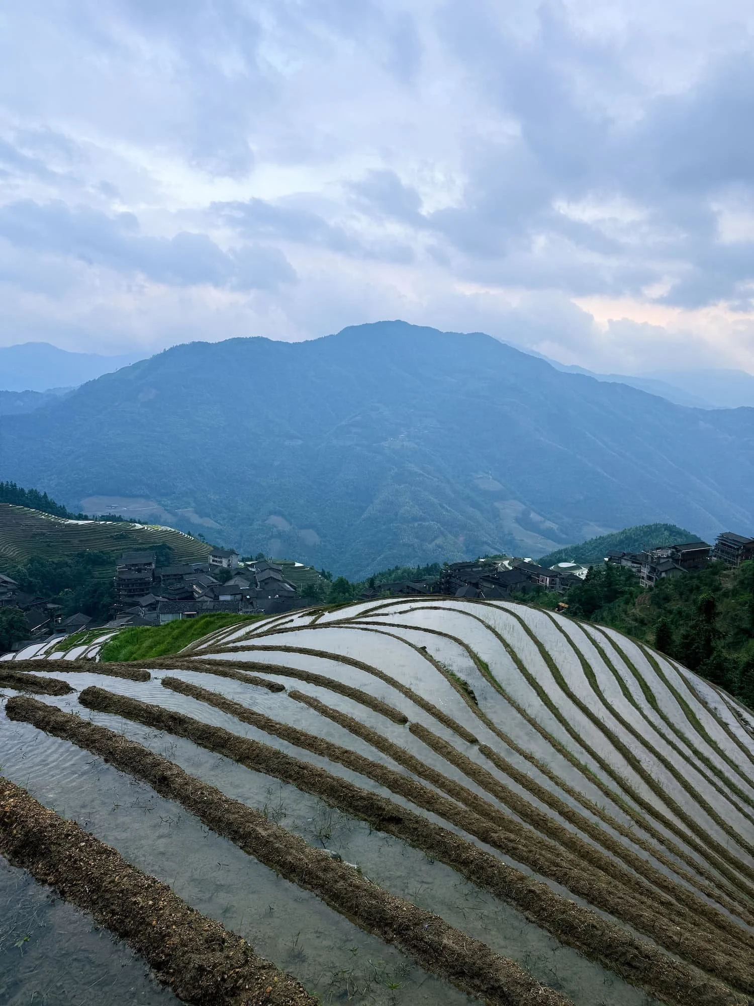 View of the Longji Rice Terraces in Guangxi, China. This 2 week China itinerary features China's most beautiful rice terraces.