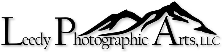 Leedy Photographic Arts, LLC