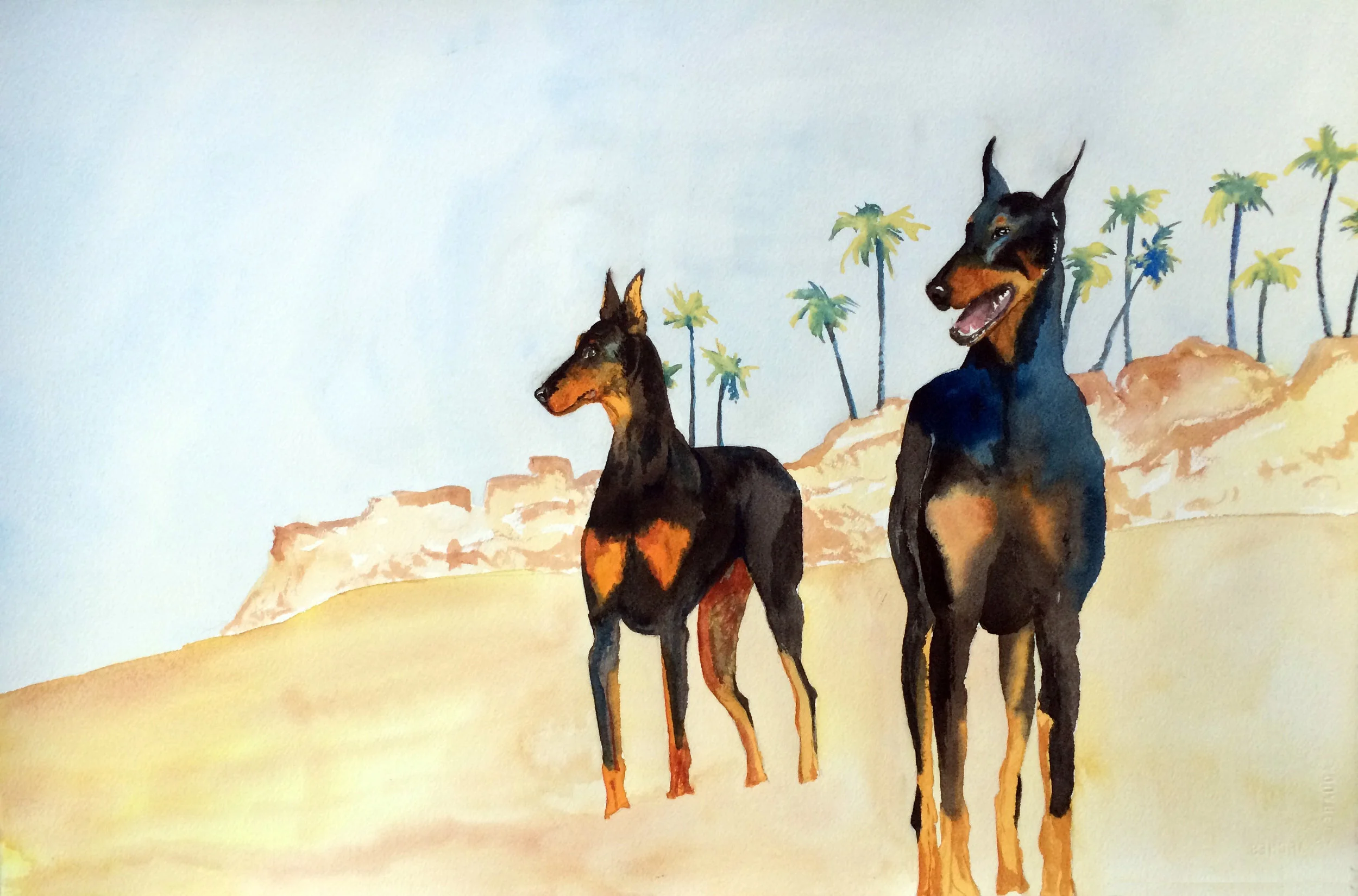 Dobermans.jpg