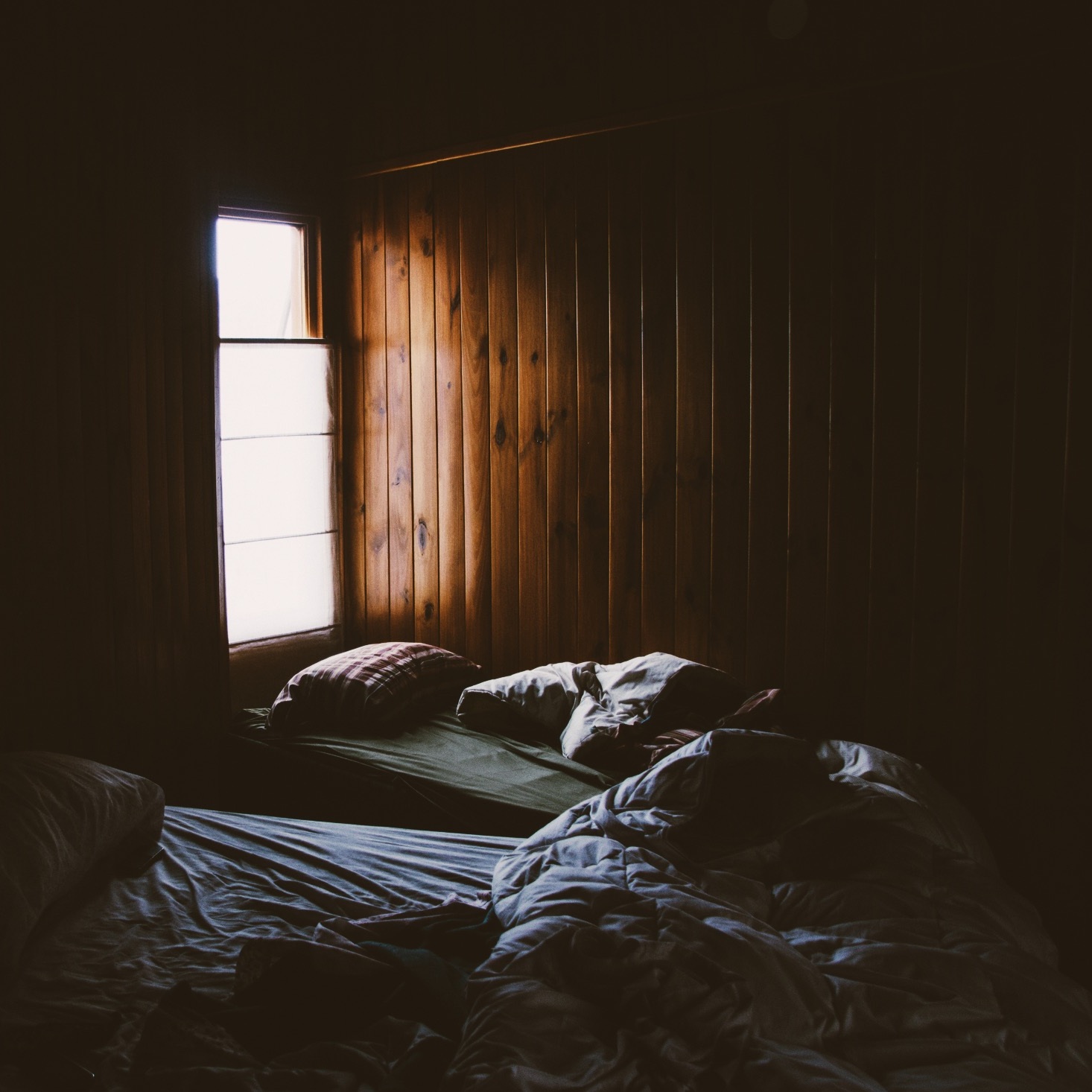 World-building: You and Cholera