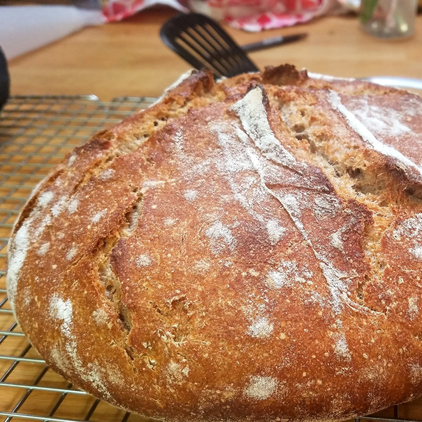 New Skills: Sour Dough