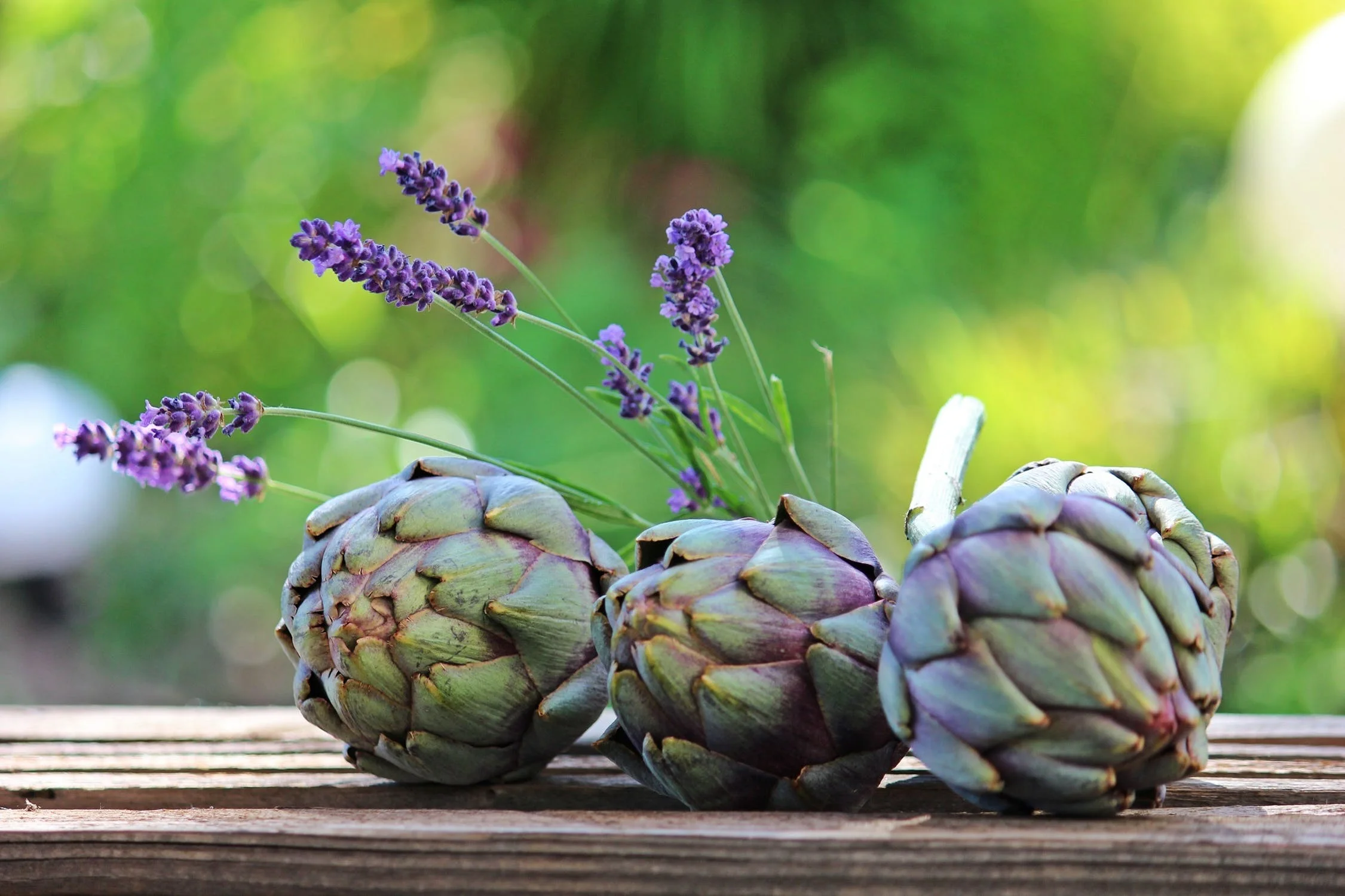 Banner Option Artichokes.jpg