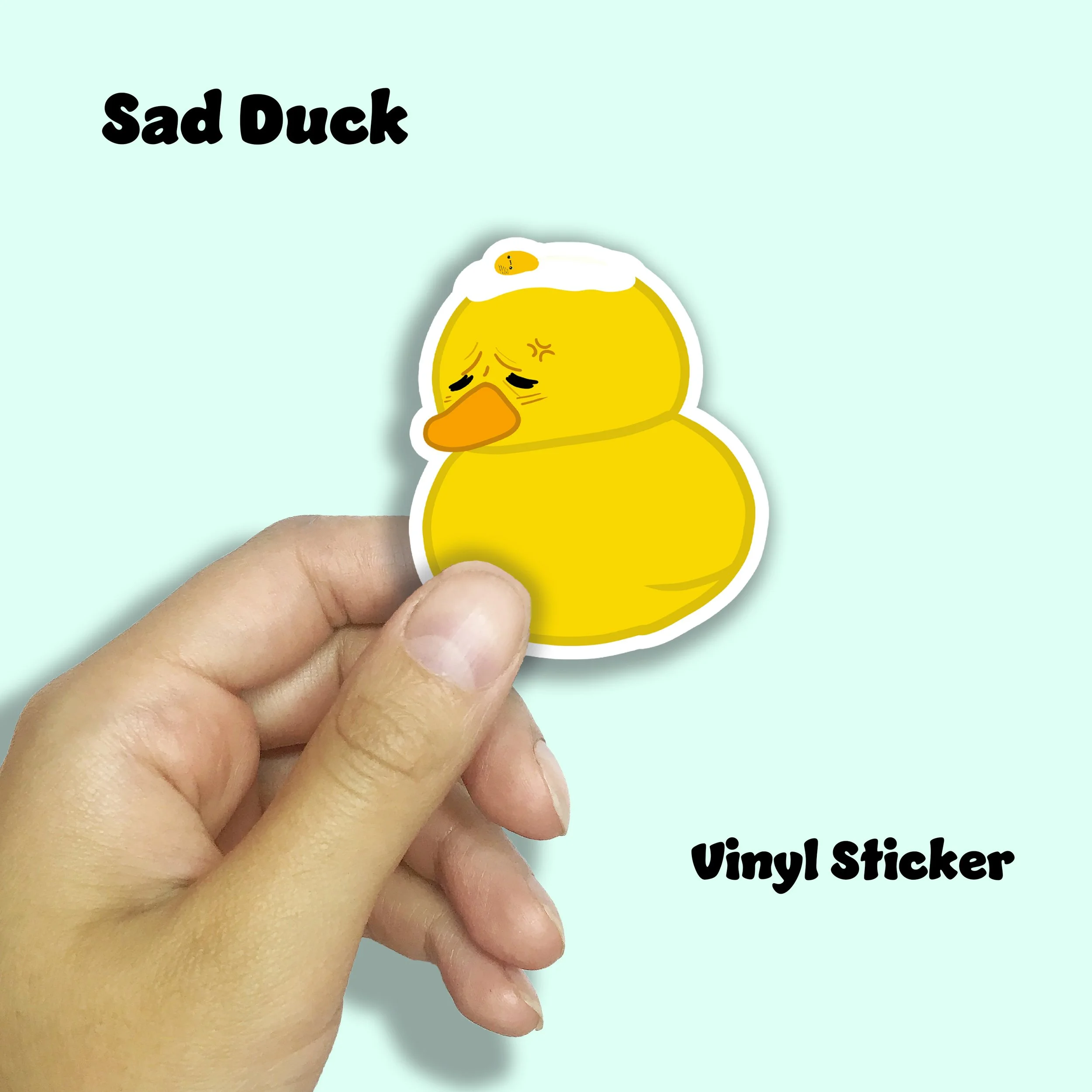 Sad duck.jpg