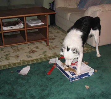 Box Before.jpg