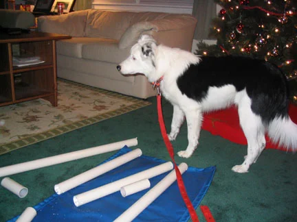 Kuranda in Pieces.jpg