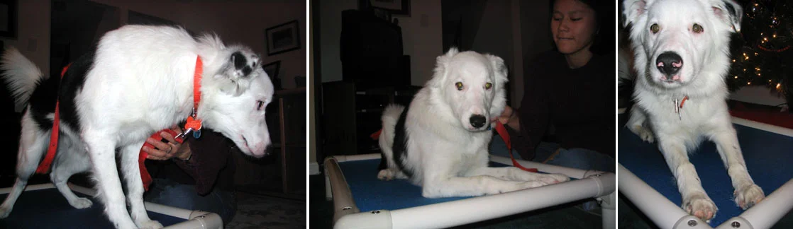 Figuring out the bed.jpg