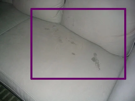 Couch Wet.jpg