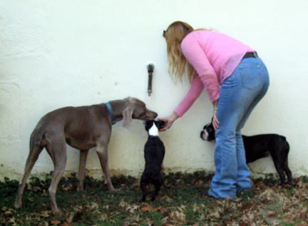Watering Hole.jpg