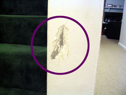 Eaten Wall.jpg
