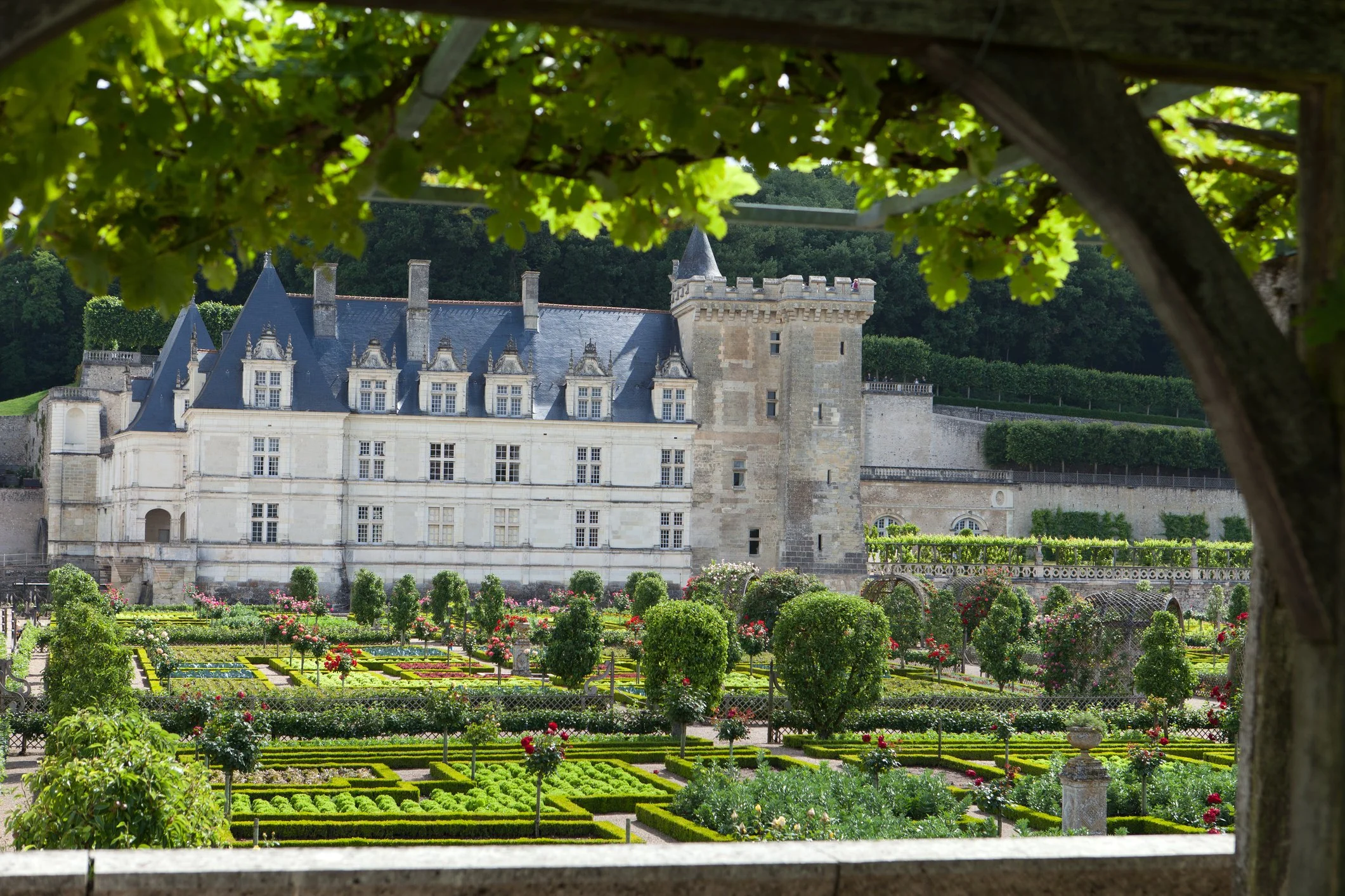 The Loire Valley &amp; Bordeaux Countryside : May 20 - 30, 2026