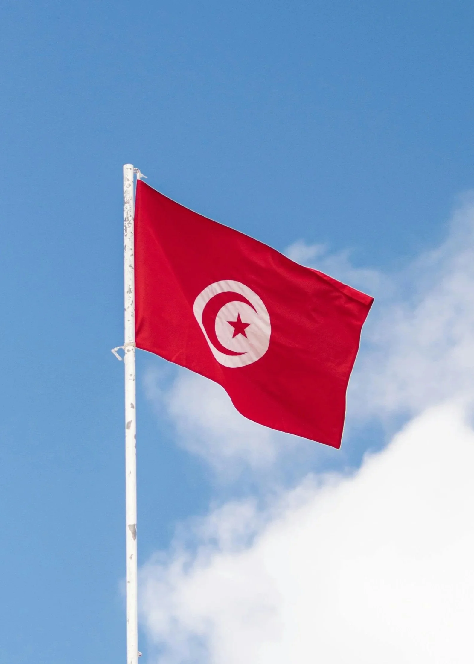 Mois de la Francophonie - Perspectives on Tunisia | Panel Discussion