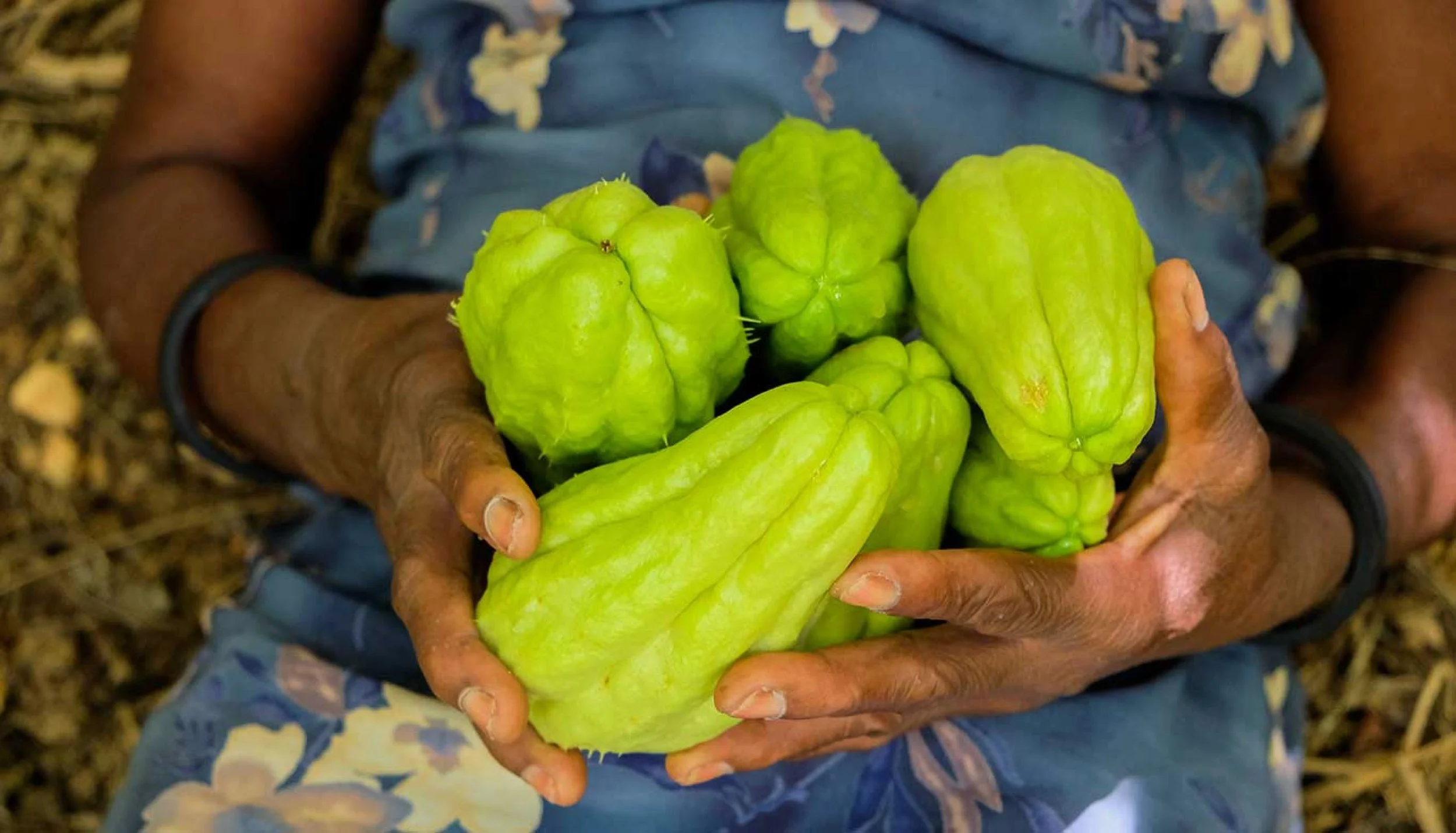 Chayote.jpg