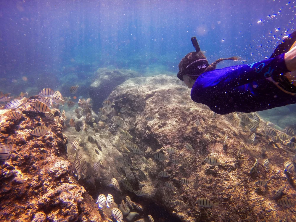 Amanda Diving in Sharks Cove.jpg