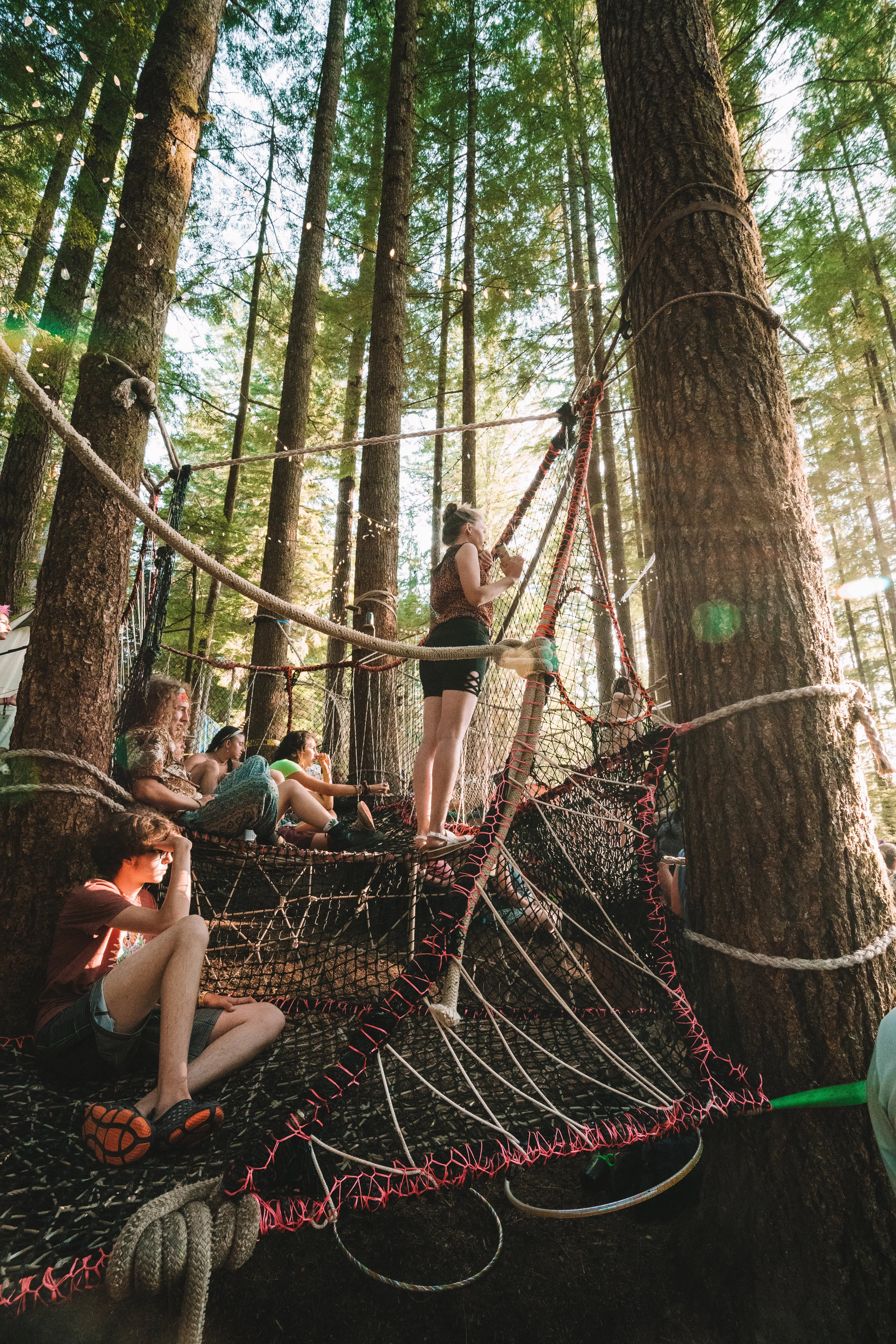  Forest Stage nets are a great vantage point, or nap spot. 