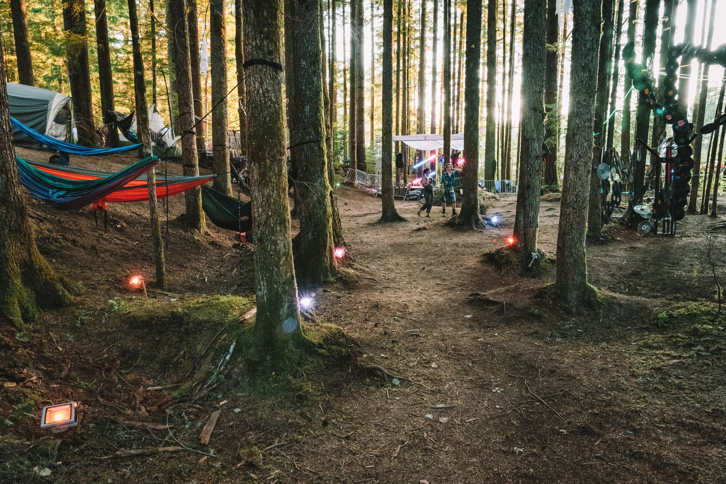 A mostly empty Forest Stage between activities. 