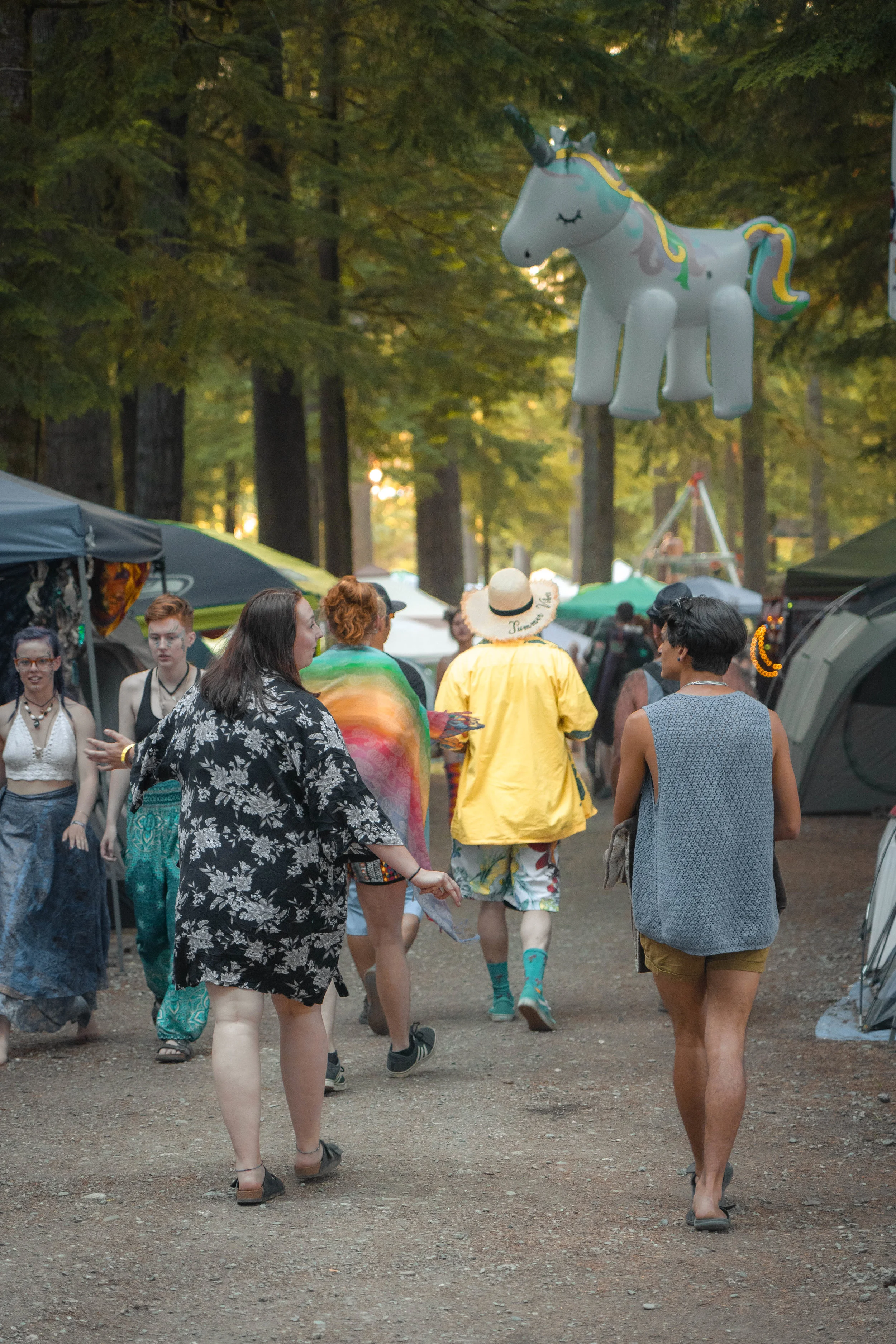 A stroll through forest camping. 