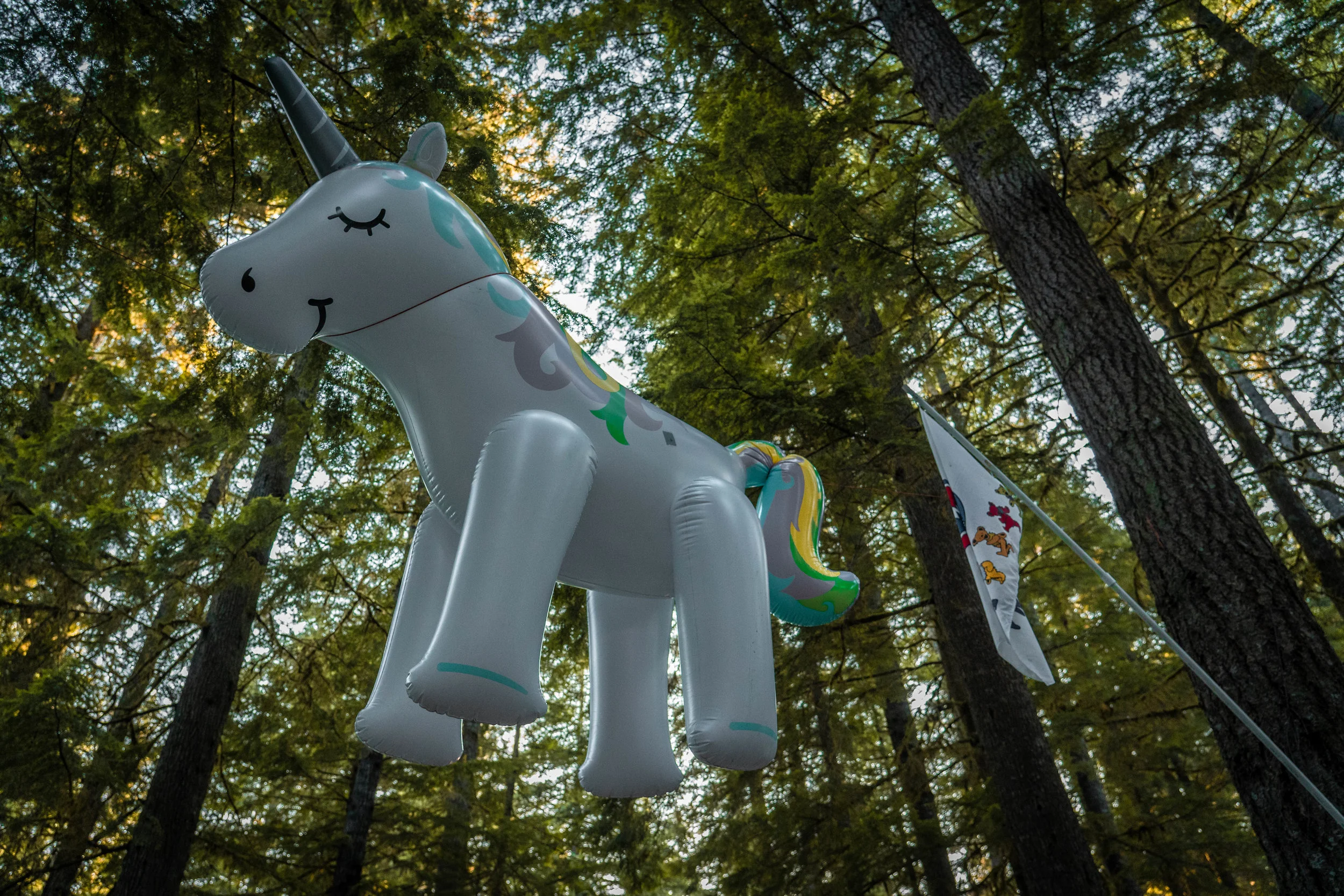  A guardian unicorn. 