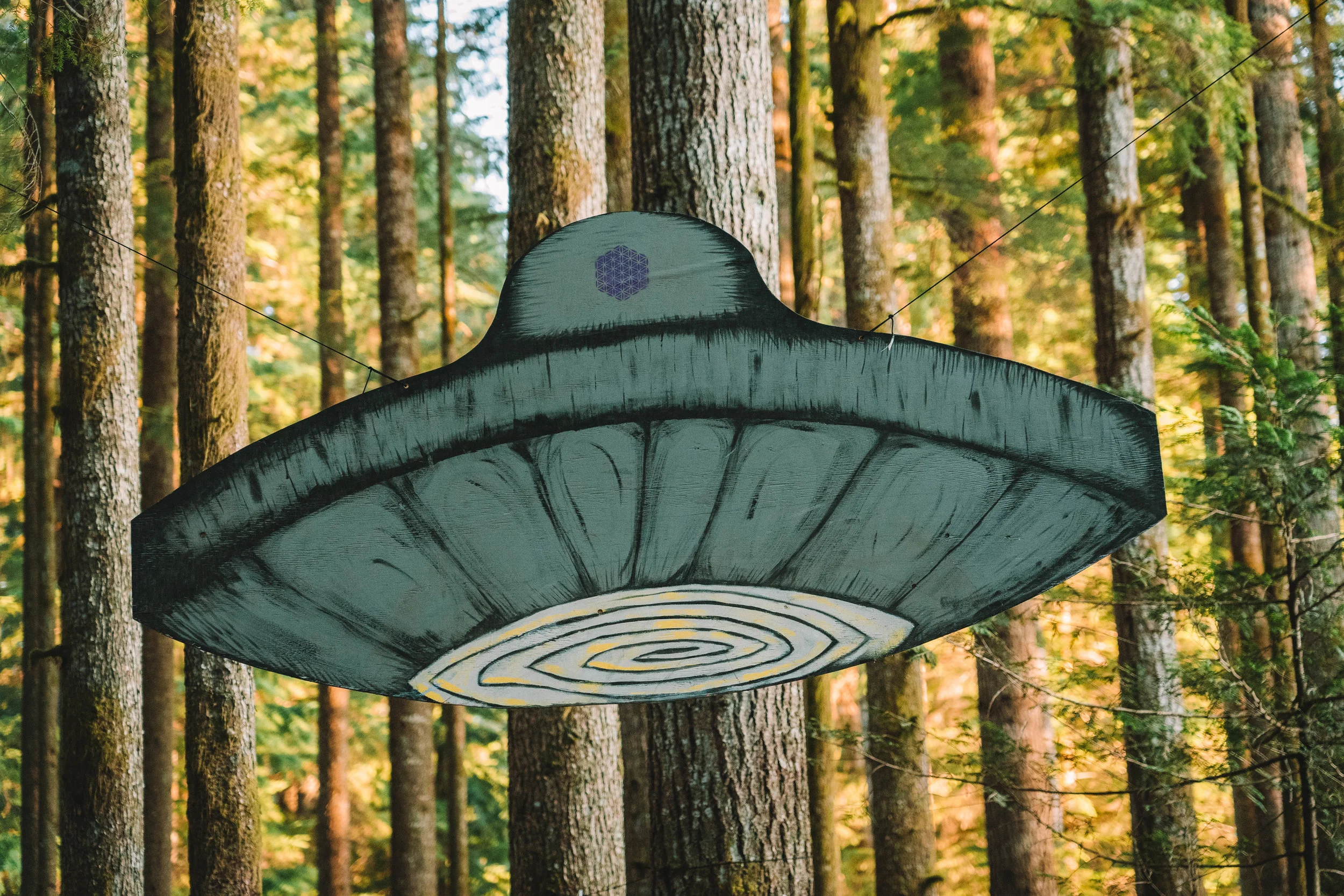  This UFO marks the Forest Stage. 
