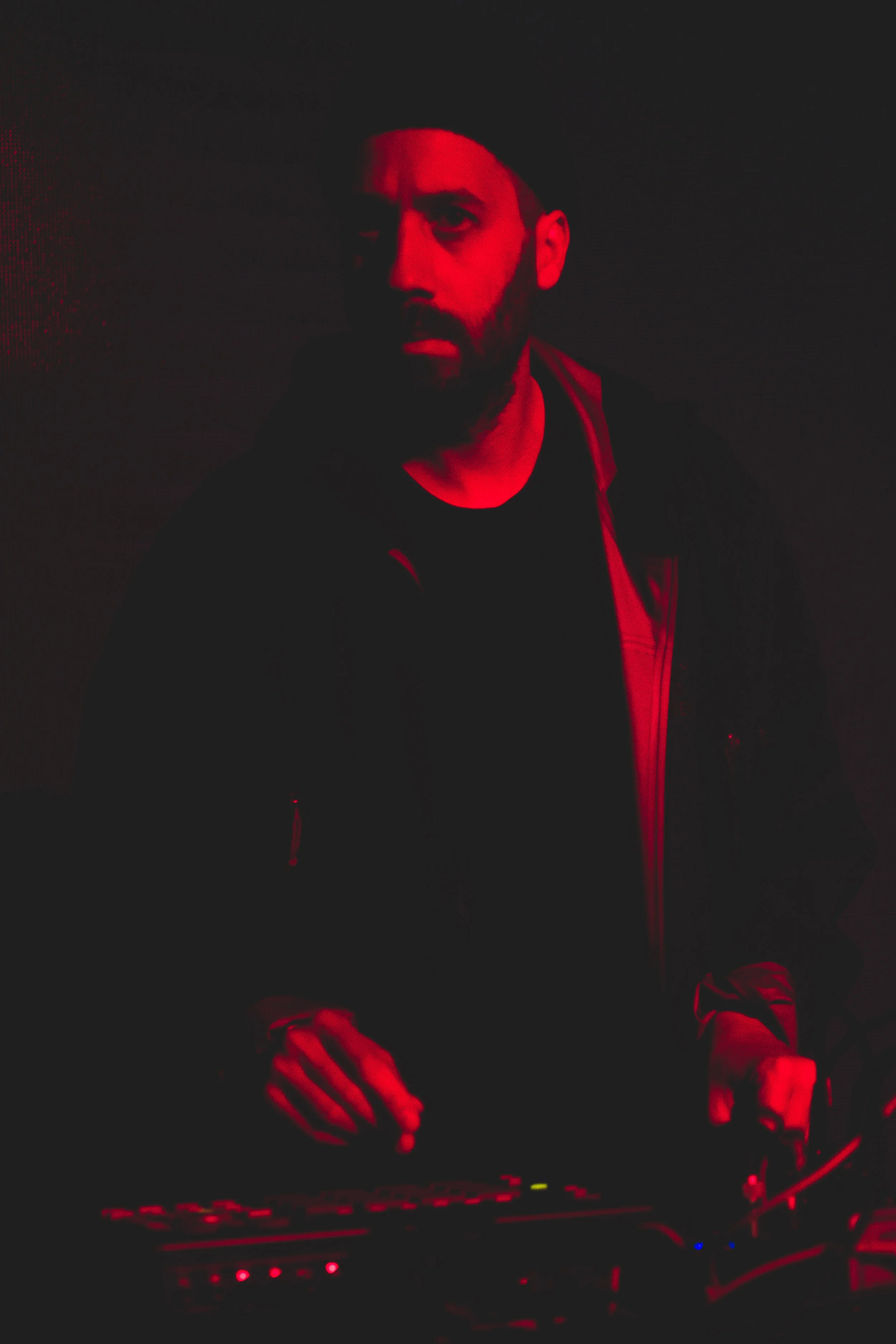 goldpanda (1 of 1).jpg