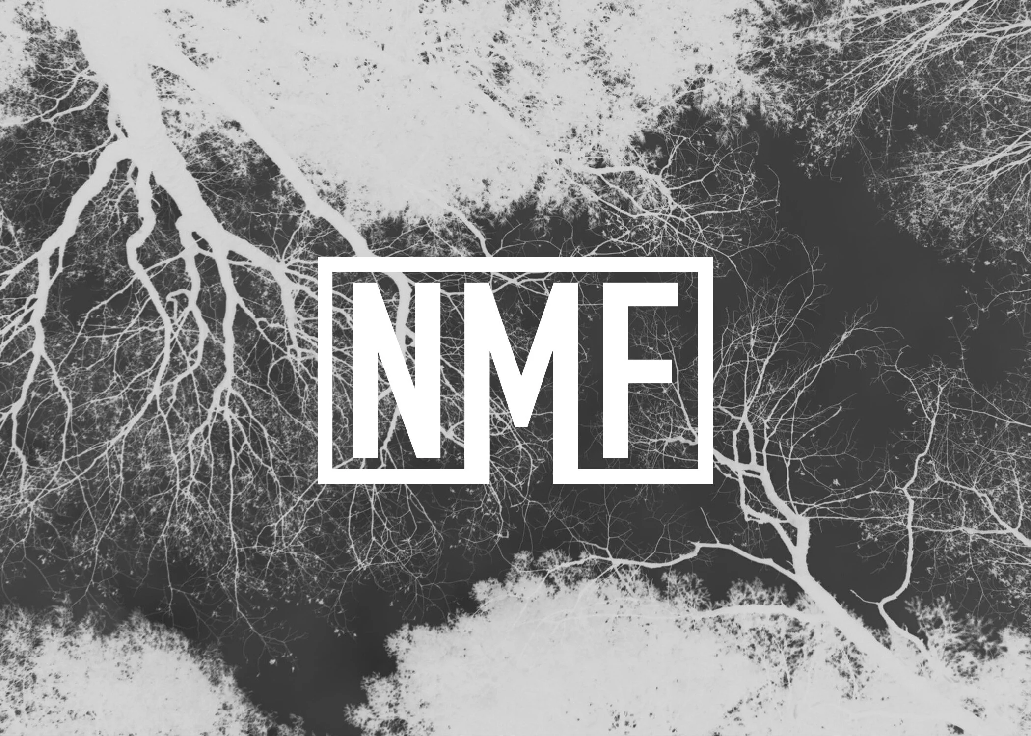 ISSUE #19